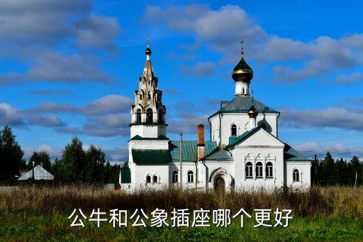 公牛和公象插座哪个更好