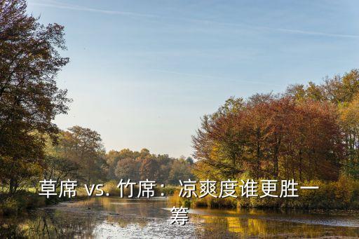 草席 vs. 竹席:凉爽度谁更胜一筹