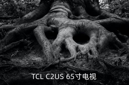 TCL C2US 65寸电视