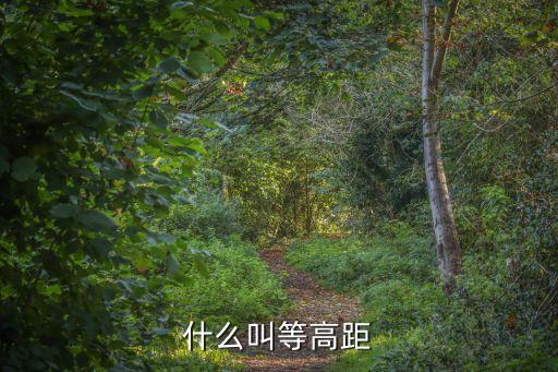 什么叫等高距