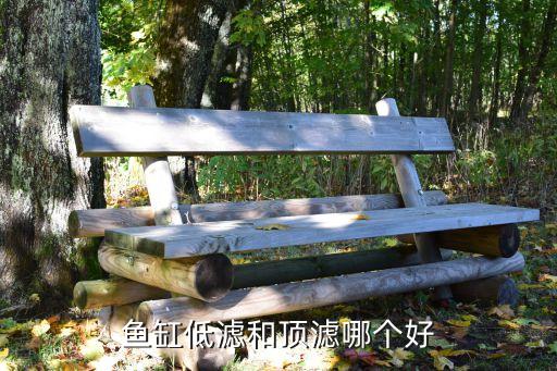 鱼缸低滤和顶滤哪个好