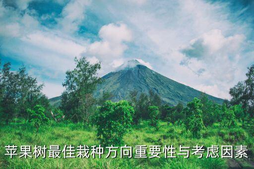 苹果树最佳栽种方向重要性与考虑因素