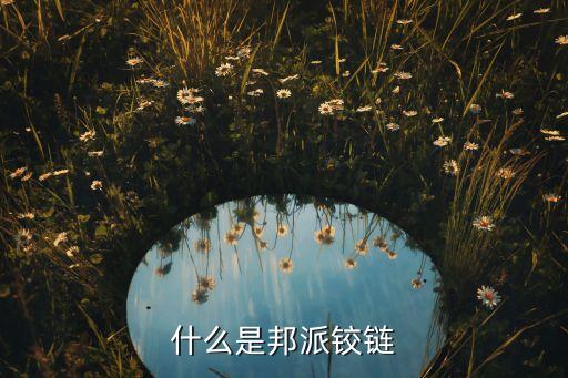 什么是邦派铰链