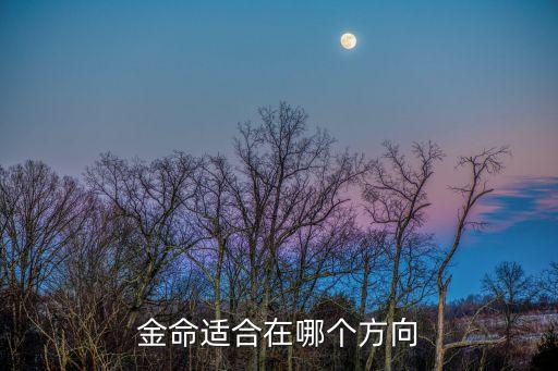 金命适合在哪个方向