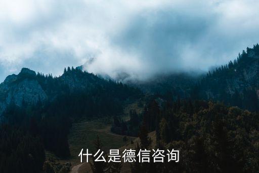 什么是德信咨询