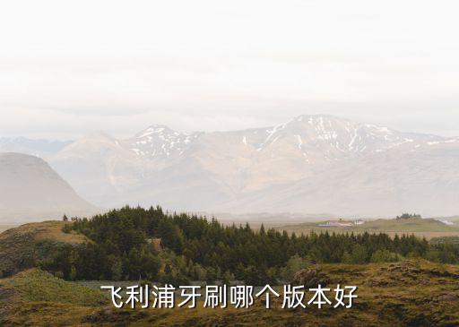 飞利浦牙刷哪个版本好