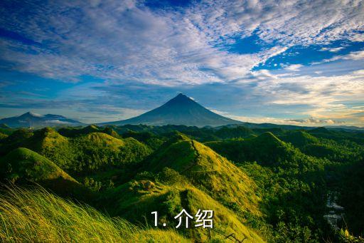 1. 介绍