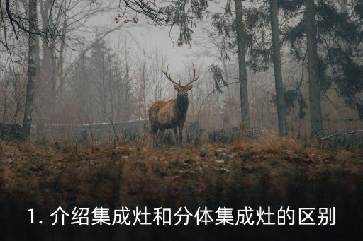 1. 介绍集成灶和分体集成灶的区别