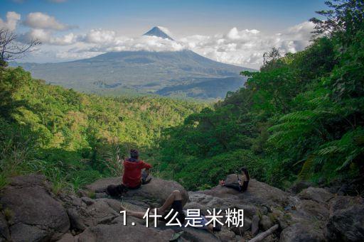 1. 什么是米糊