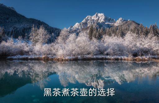 黑茶煮茶壶的选择