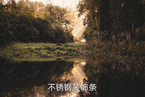 不锈钢装饰条