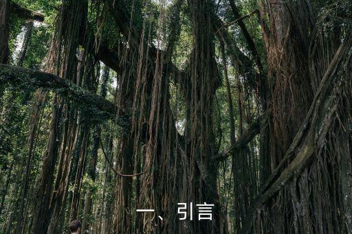 一、引言
