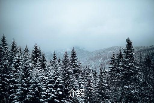 介绍