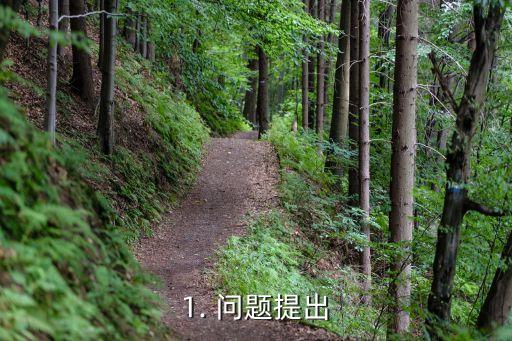 1. 问题提出