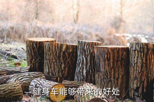 健身车能够带来的好处