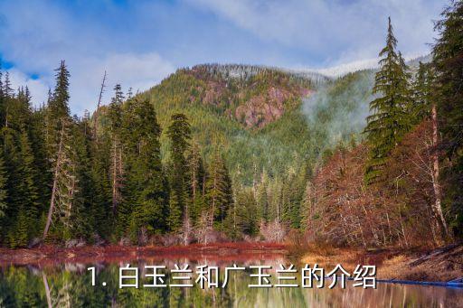 1. 白玉兰和广玉兰的介绍