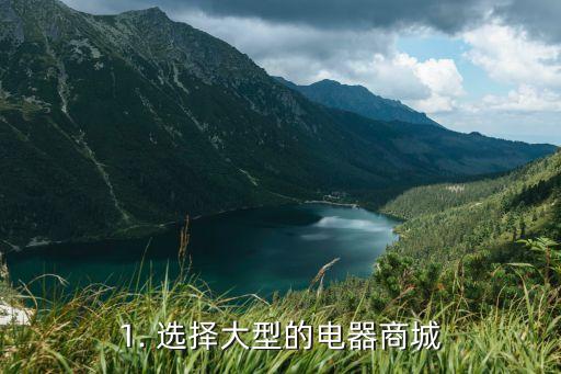 1. 选择大型的电器商城