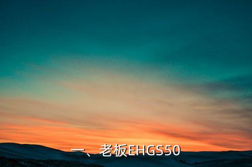 一、老板EHGS50
