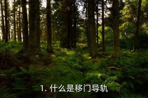 1. 什么是移门导轨
