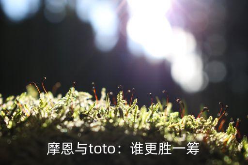摩恩与toto:谁更胜一筹