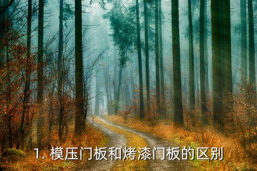 1. 模压门板和烤漆门板的区别