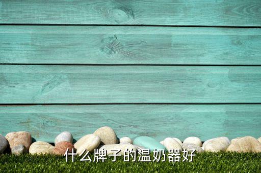 什么牌子的温奶器好
