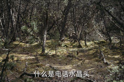什么是电话水晶头