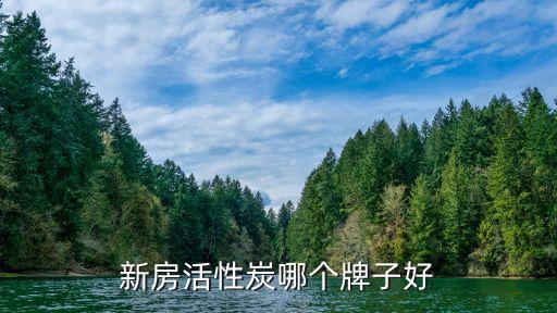 新房活性炭哪个牌子好
