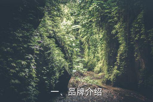 一、品牌介绍