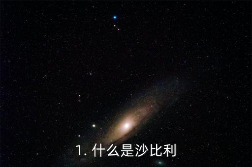 1. 什么是沙比利