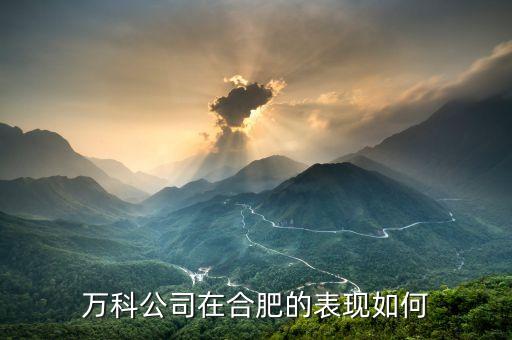 万科公司在合肥的表现如何