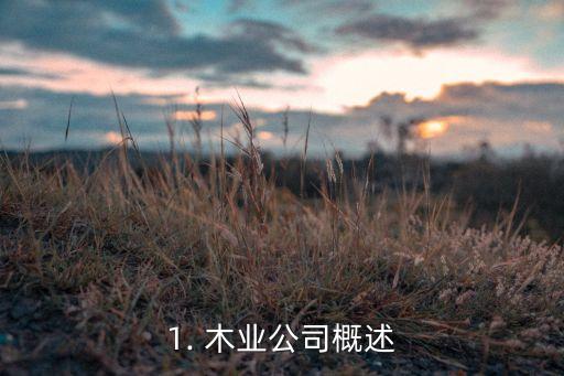 1. 木业公司概述