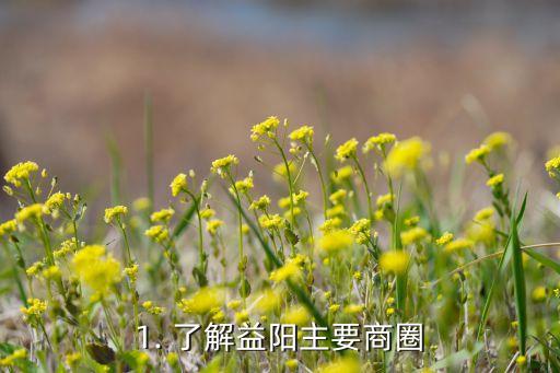 1. 了解益阳主要商圈