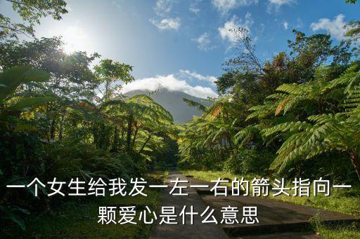 一个女生给我发一左一右的箭头指向一颗爱心是什么意思