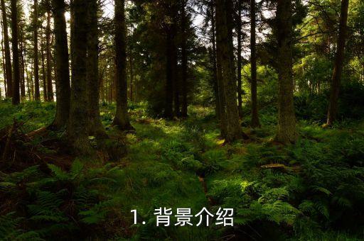 1. 背景介绍