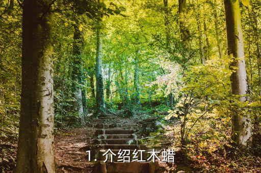 1. 介绍红木蜡