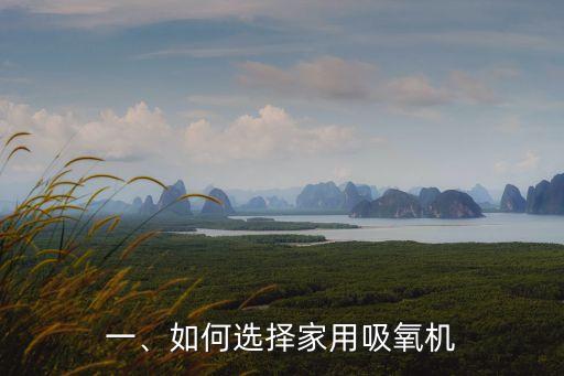 一、如何选择家用吸氧机