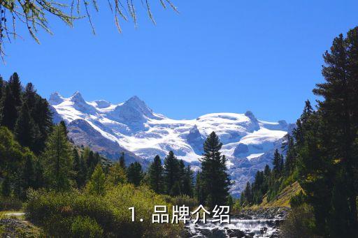 1. 品牌介绍