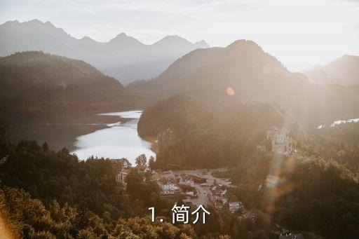 1. 简介
