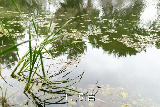 1、引言