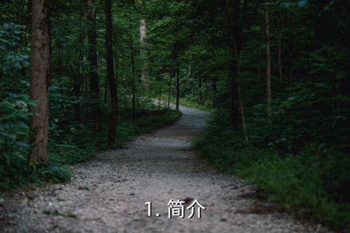 1. 简介