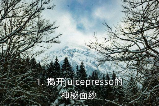 1. 揭开juicepresso的神秘面纱