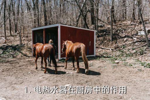1. 电热水器在厨房中的作用