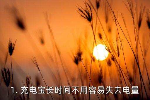 1. 充电宝长时间不用容易失去电量