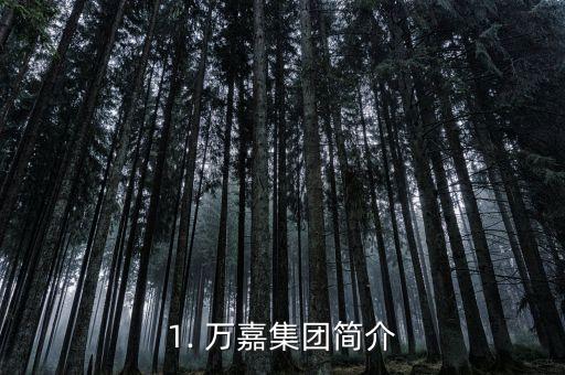 1. 万嘉集团简介