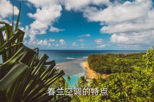 春兰空调的特点