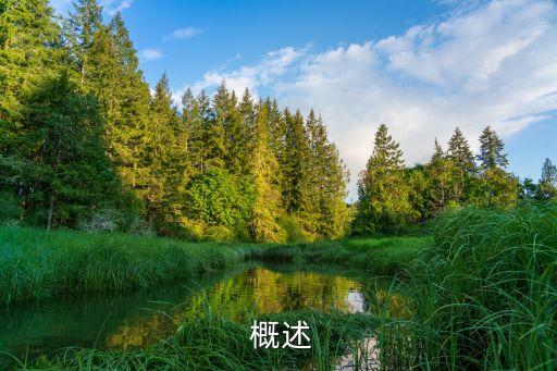 概述