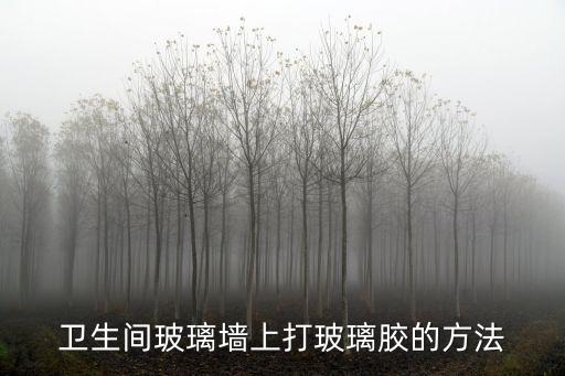 卫生间玻璃墙上打玻璃胶的方法