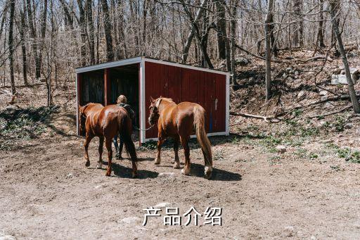 产品介绍