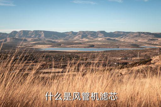 什么是风管机滤芯